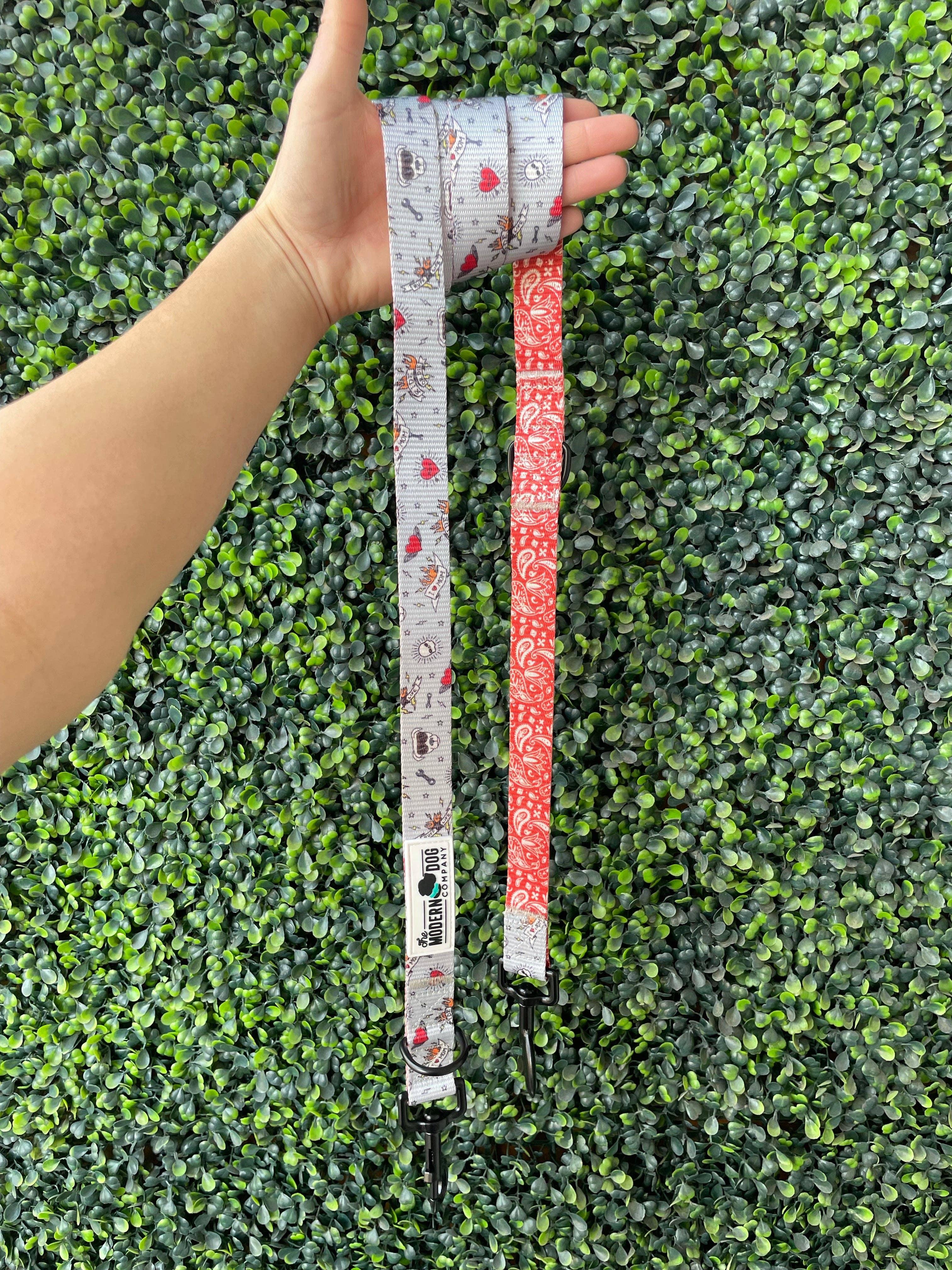 The Modern Dog Company - Bad to the Bone Leash