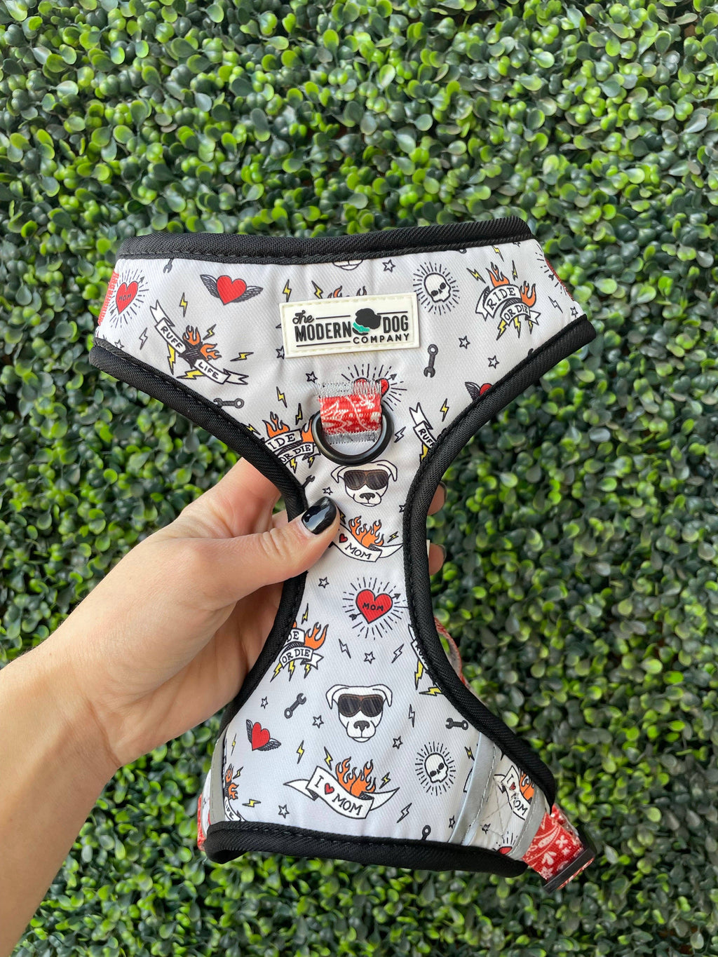 The Modern Dog Company - Bad to the Bone Harness