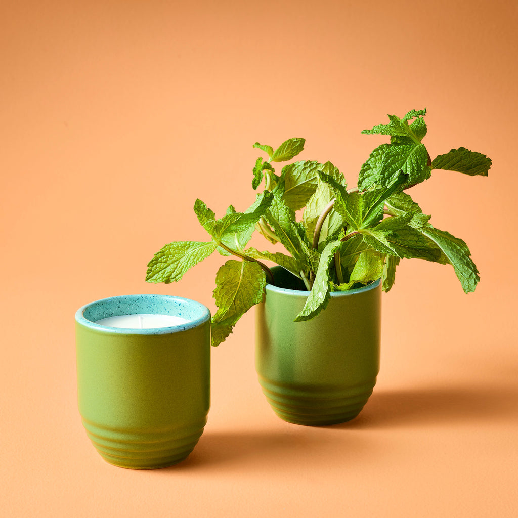 Garden Vibes Candle/Planter 2-in-1