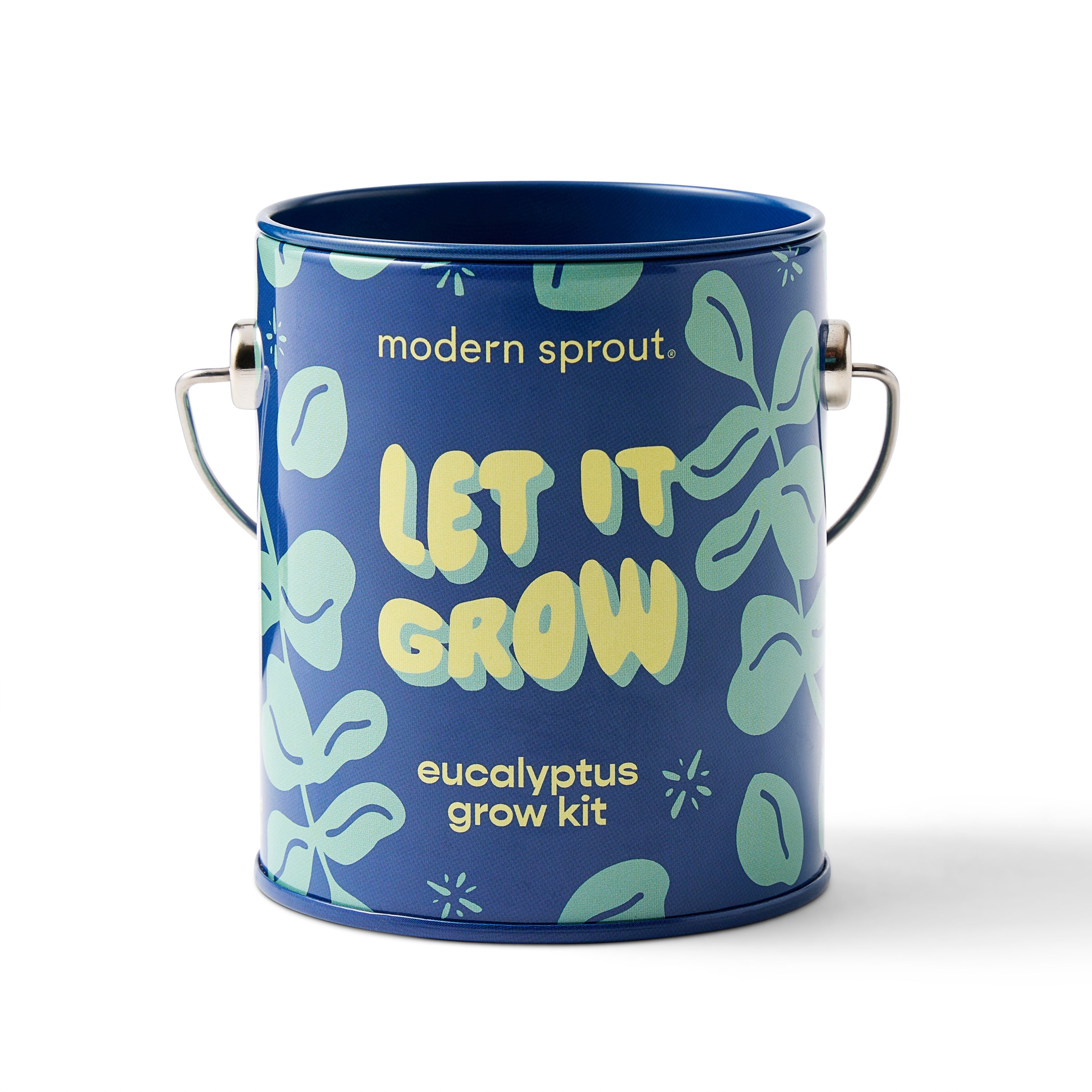 Seasonal Complimentary Colors Grow Kits