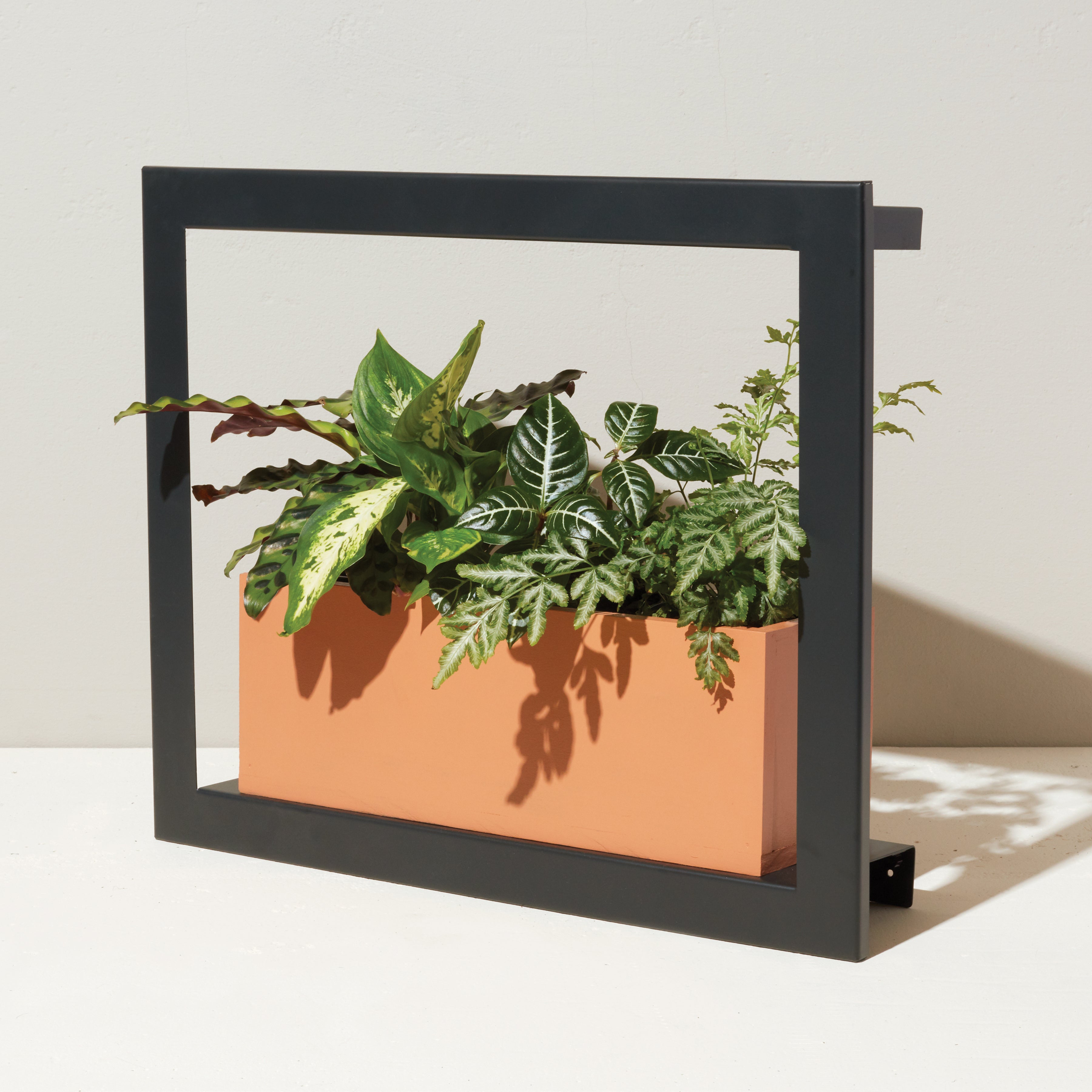 Smart Standard Growframe