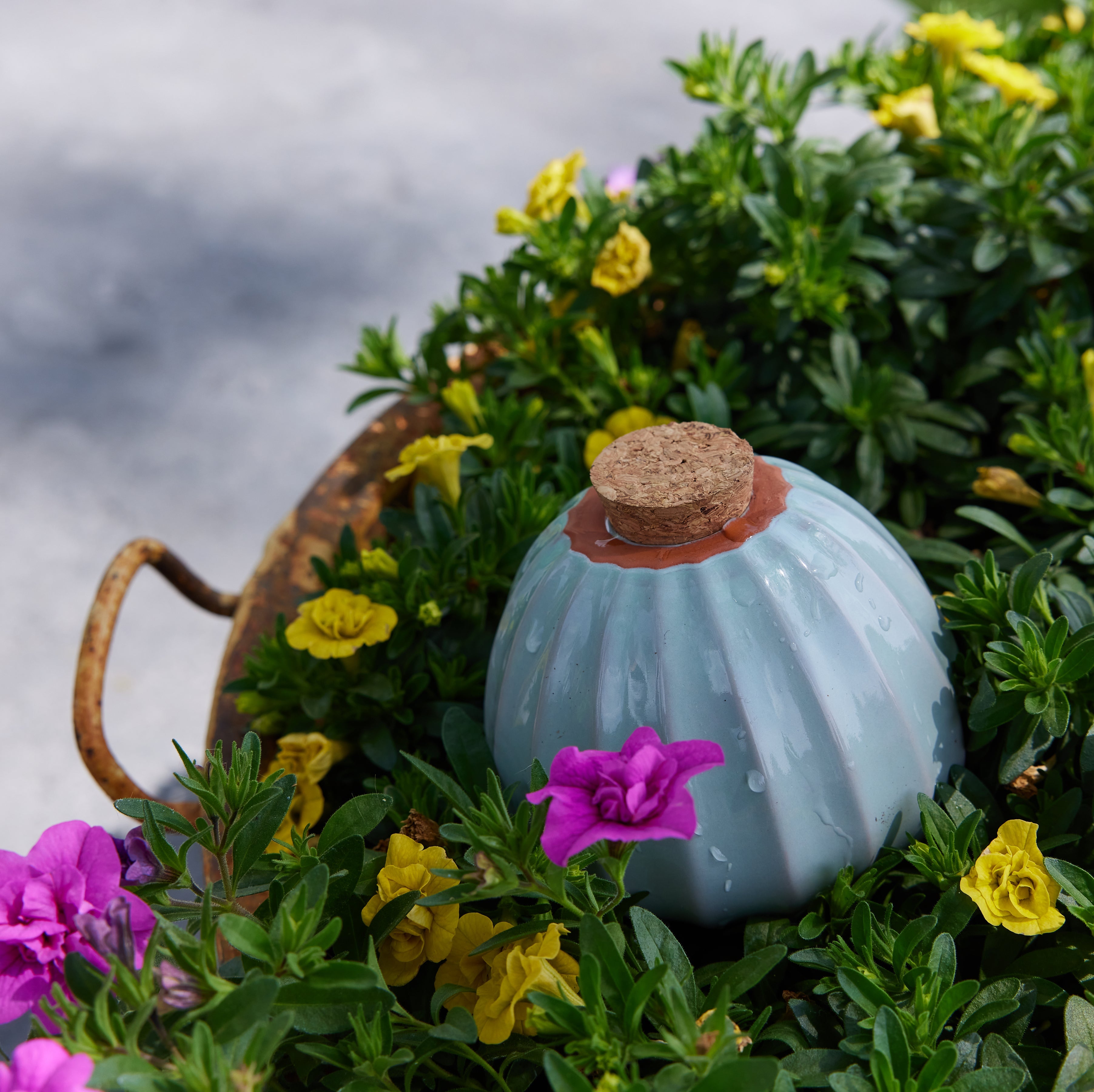 Terracotta Watering Bulbs