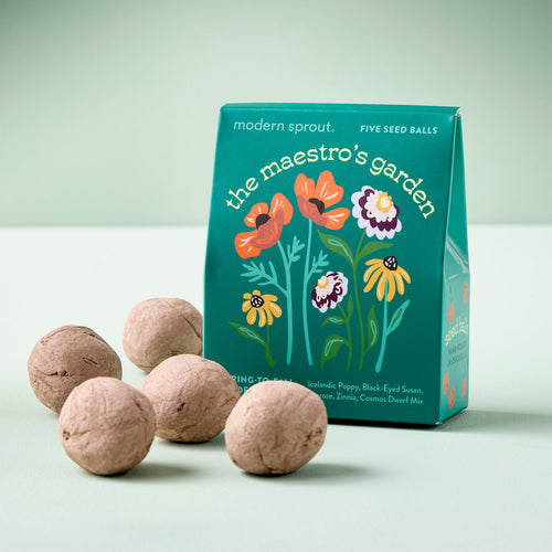 Bespoke Blooms Seed Balls