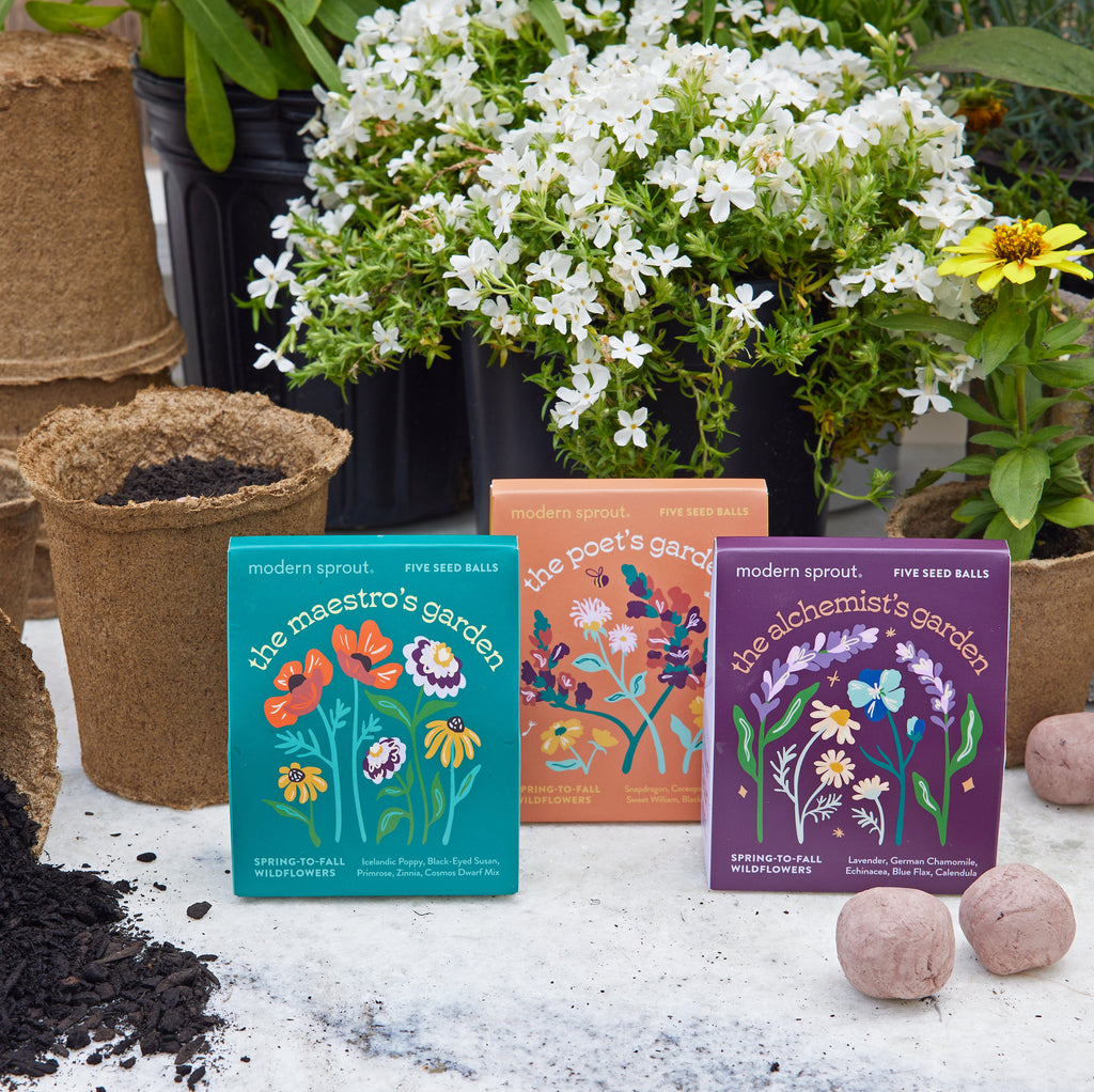 Bespoke Blooms Seed Balls