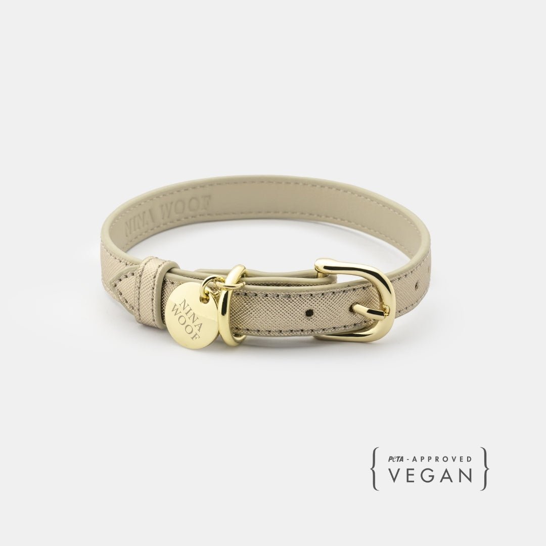 Stylish Dog Collars