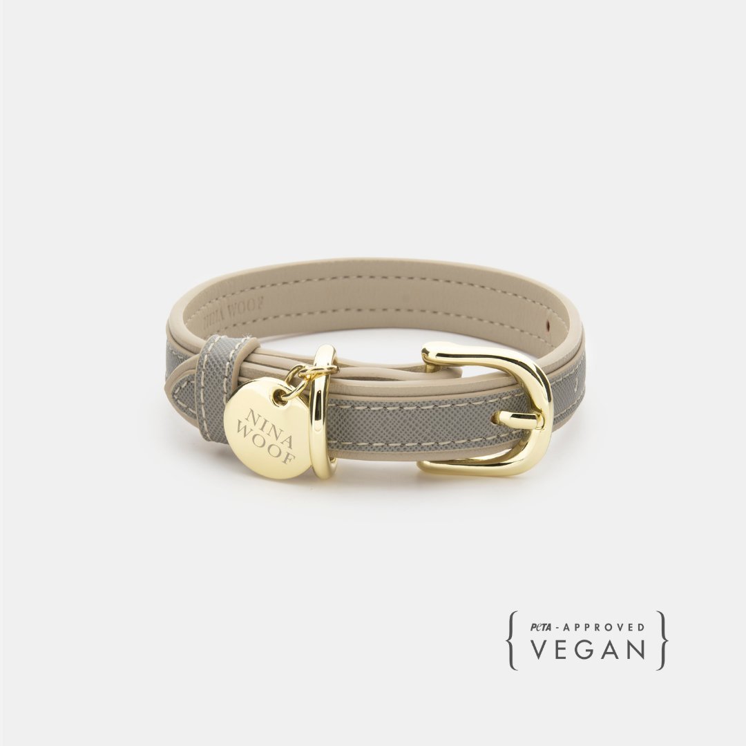 Stylish Dog Collars
