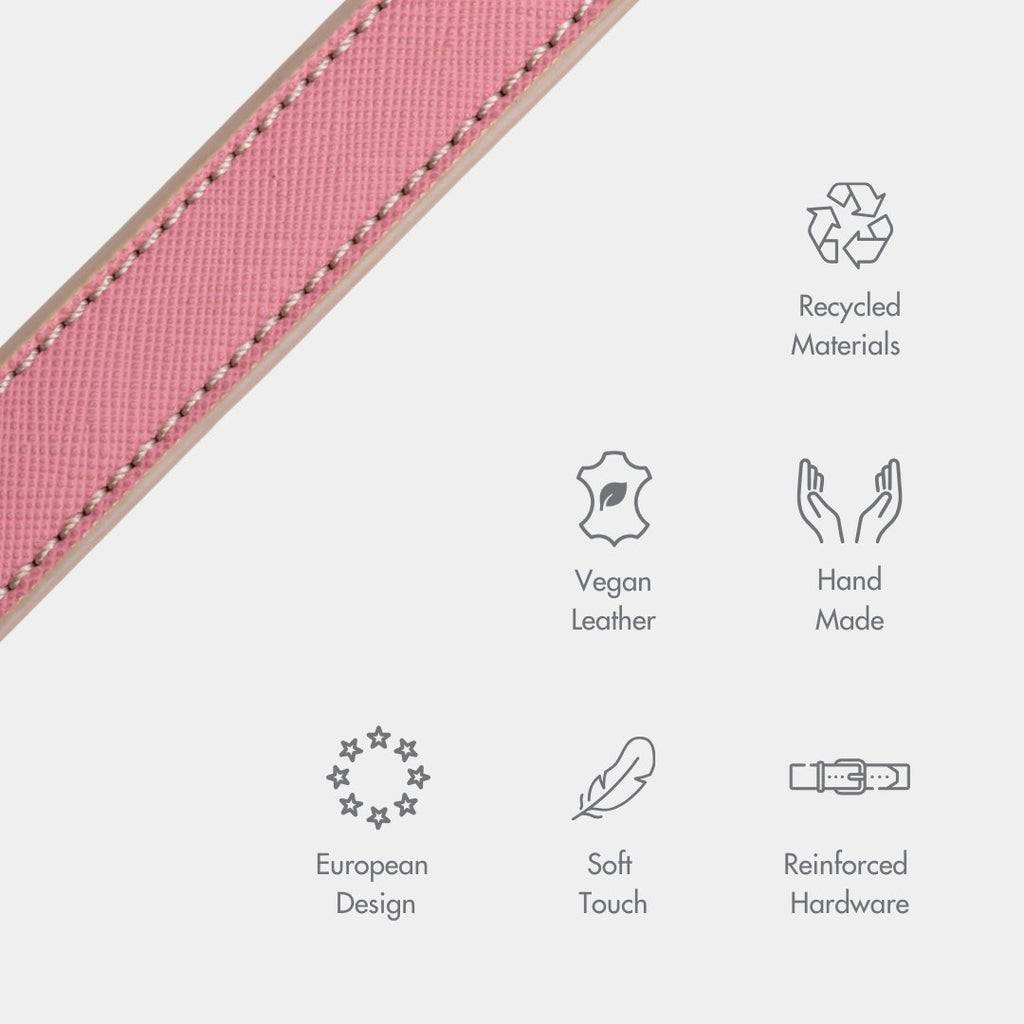 Stylish Dog Collars