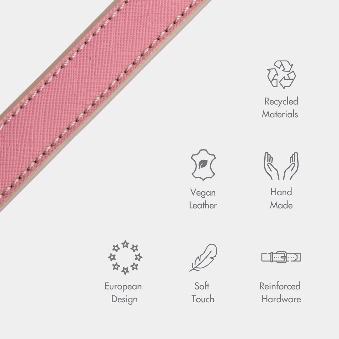 Stylish Dog Collars