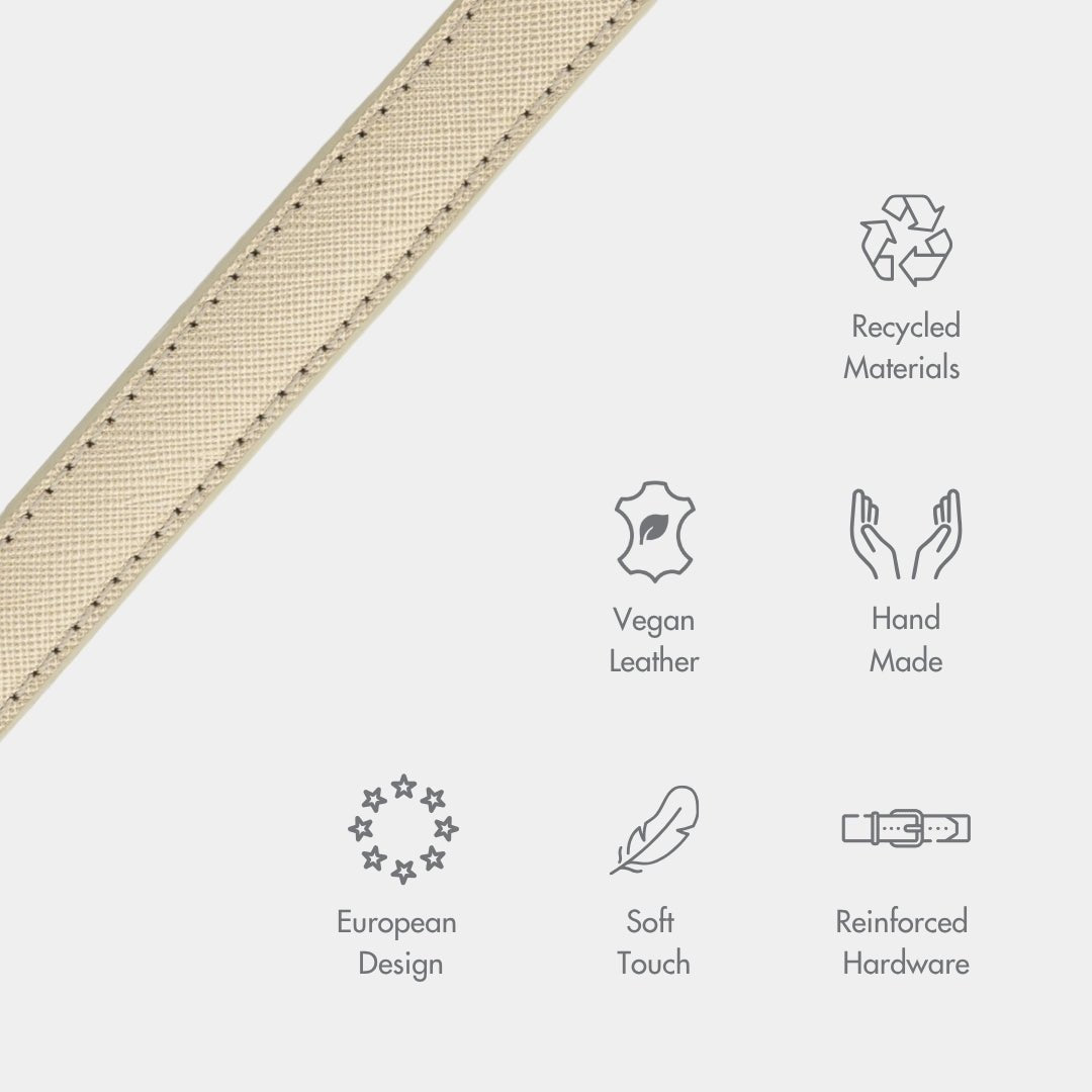 Stylish Dog Collars