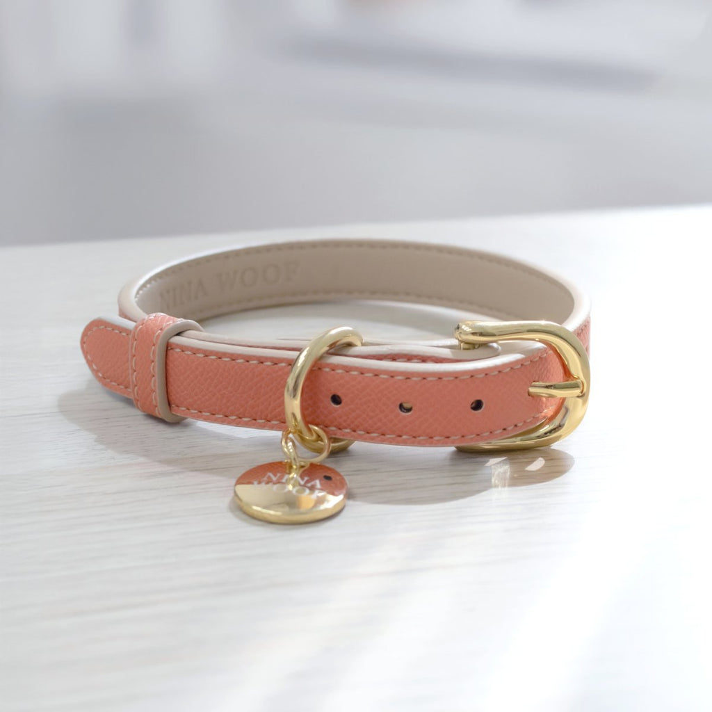 Stylish Dog Collars
