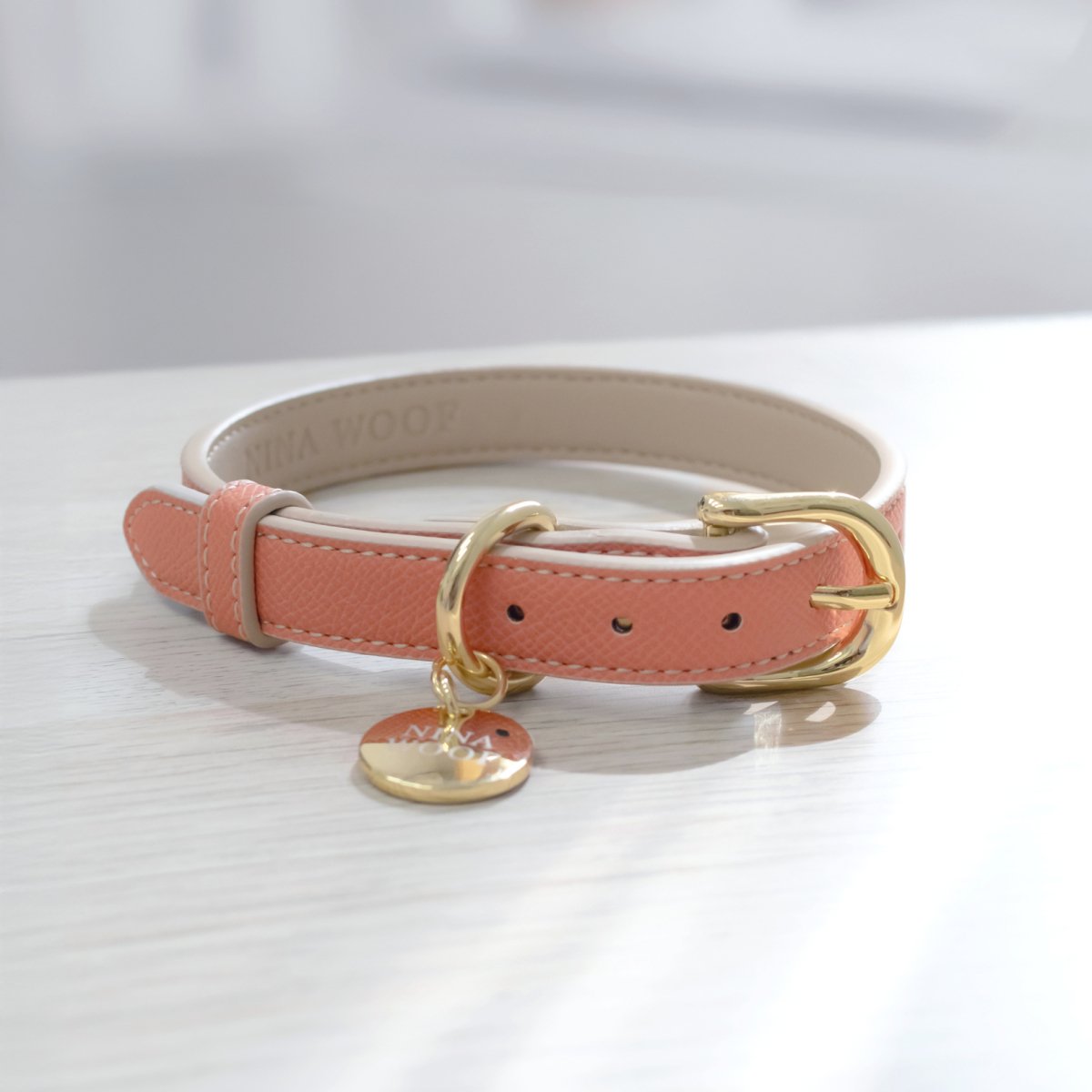 Stylish Dog Collars