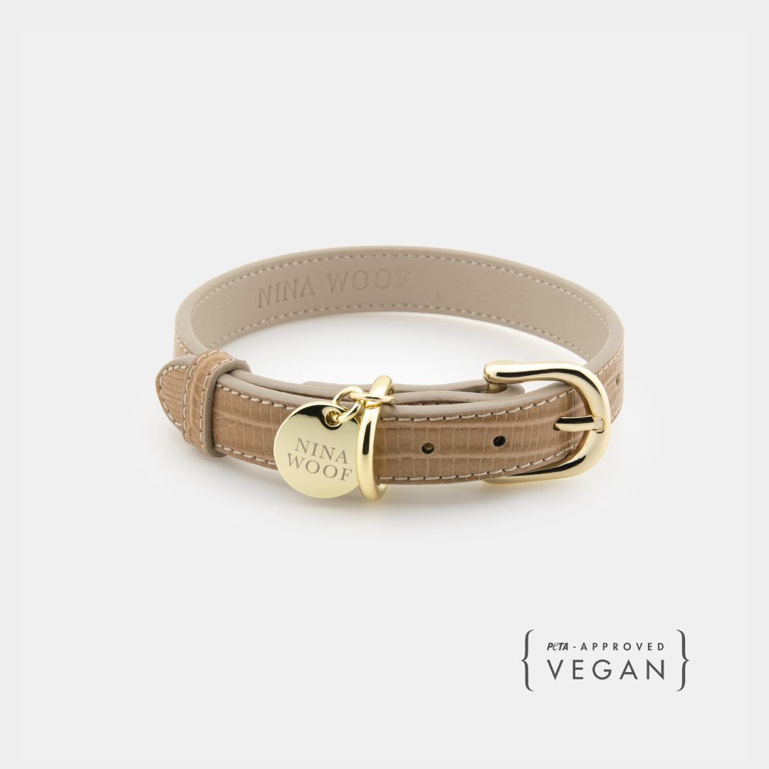 Stylish Dog Collars