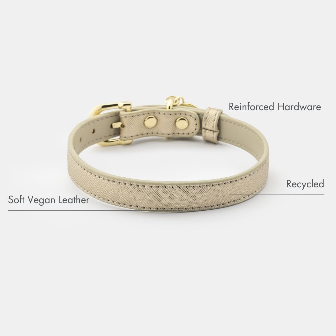 Stylish Dog Collars