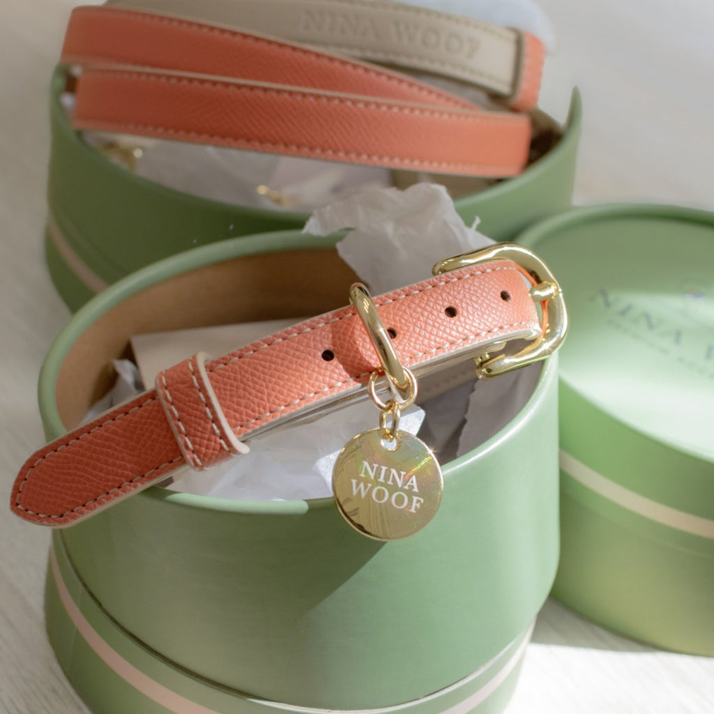 Stylish Dog Collars