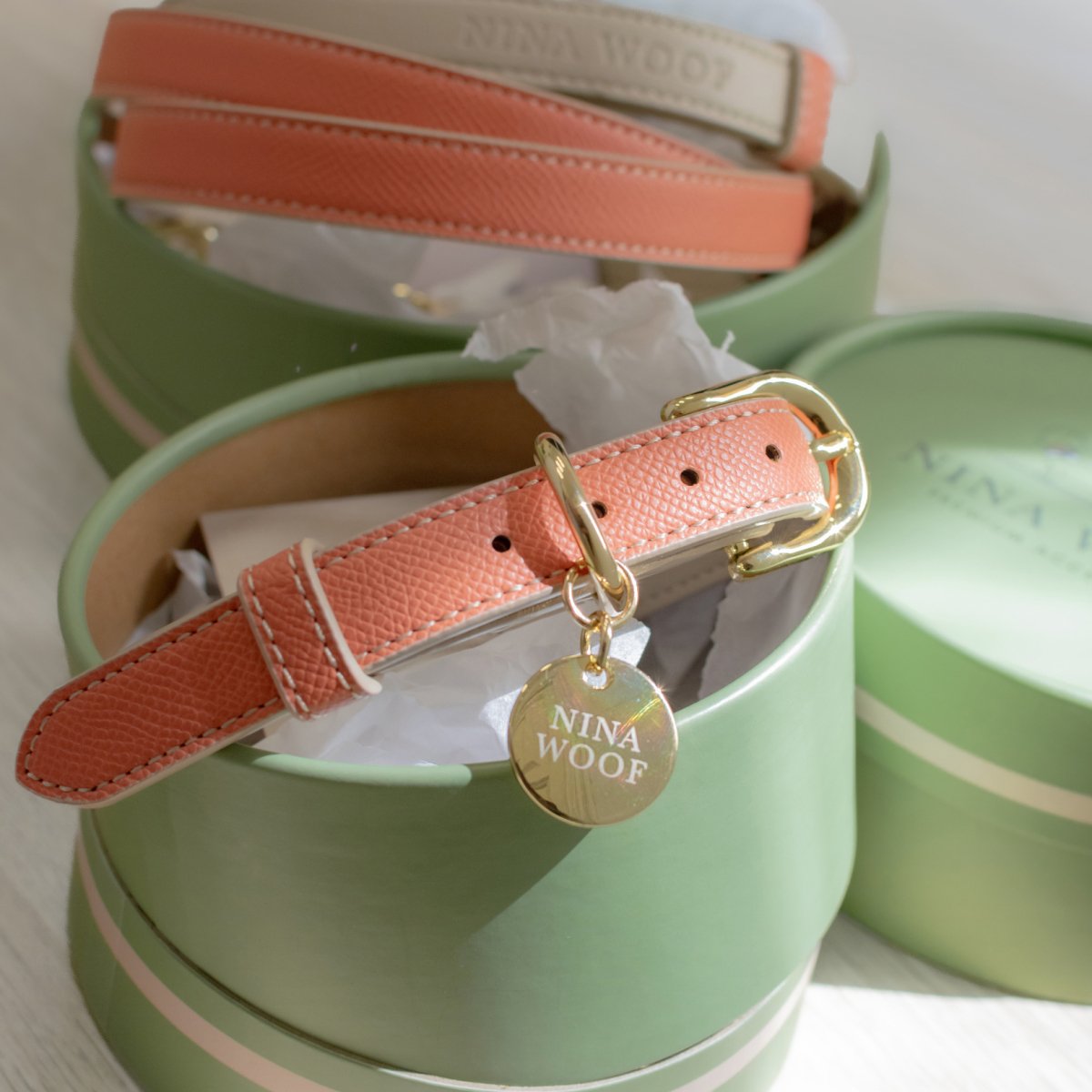 Stylish Dog Collars