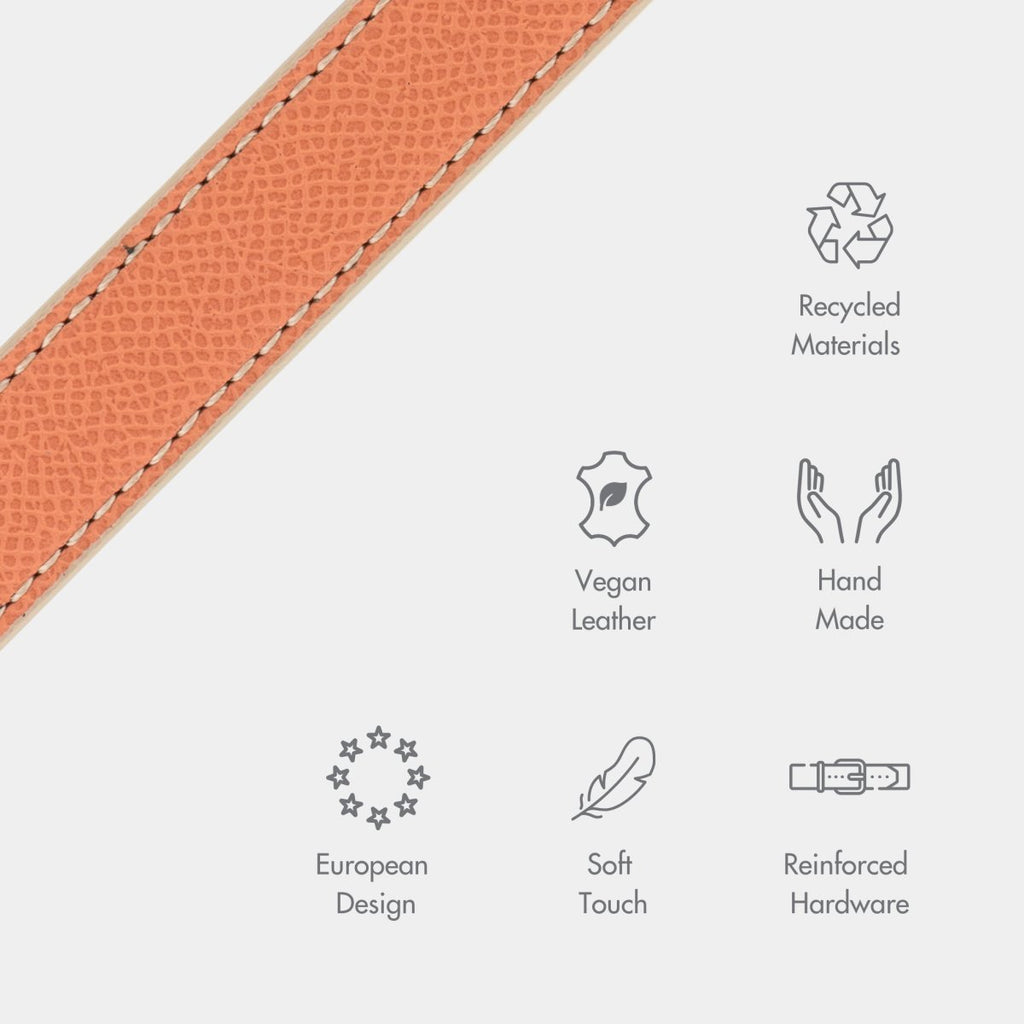 Stylish Dog Collars