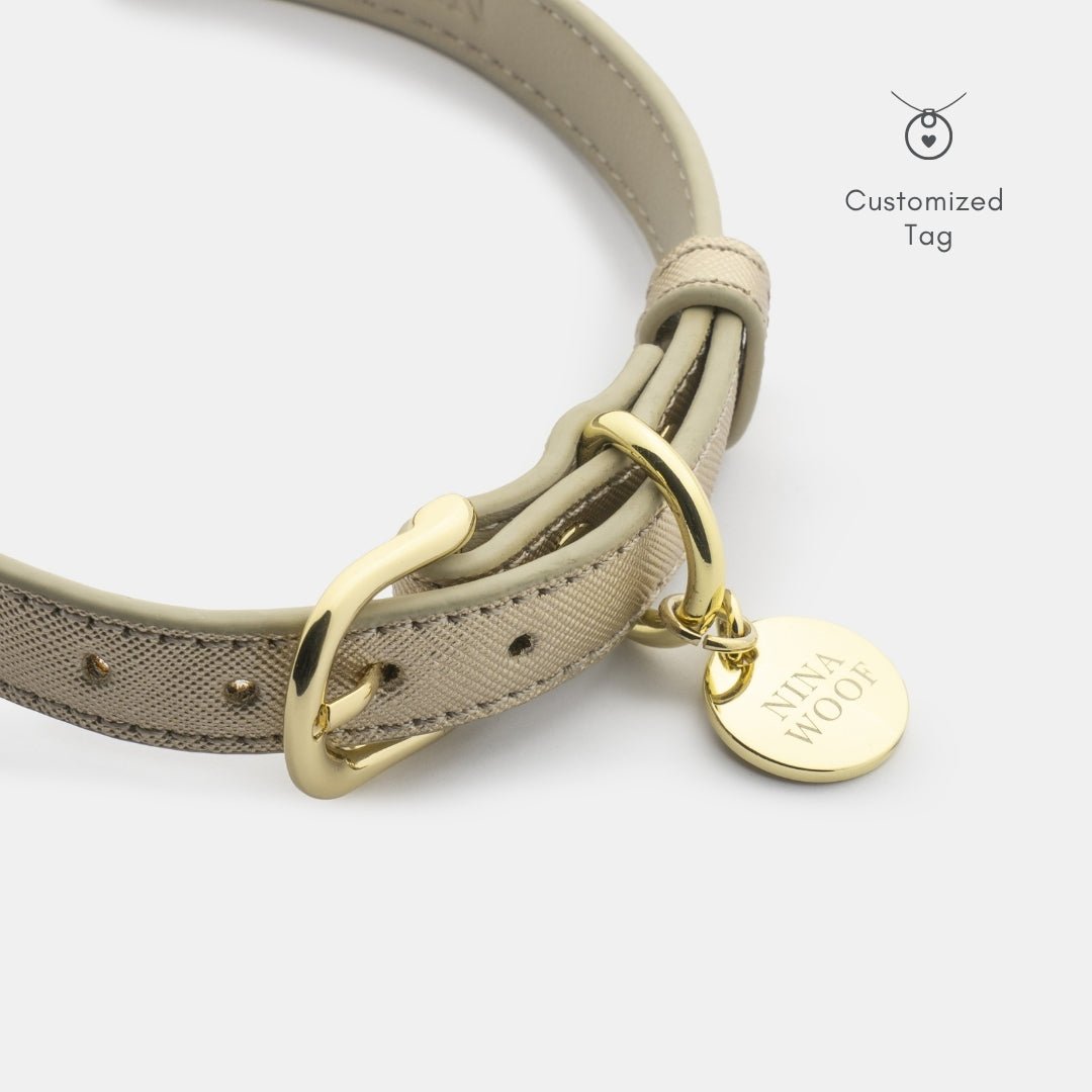Stylish Dog Collars