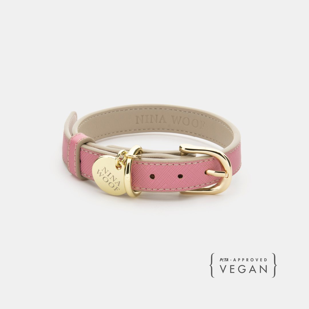 Stylish Dog Collars