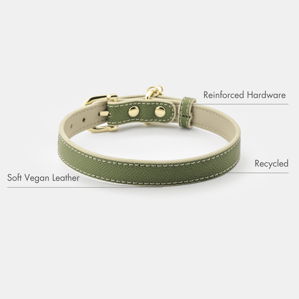 Stylish Dog Collars