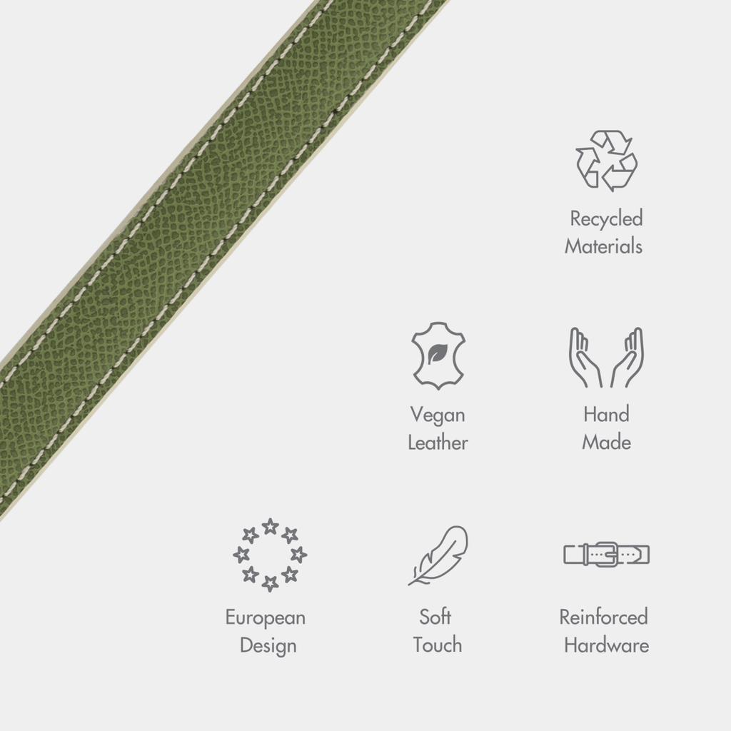 Stylish Dog Collars