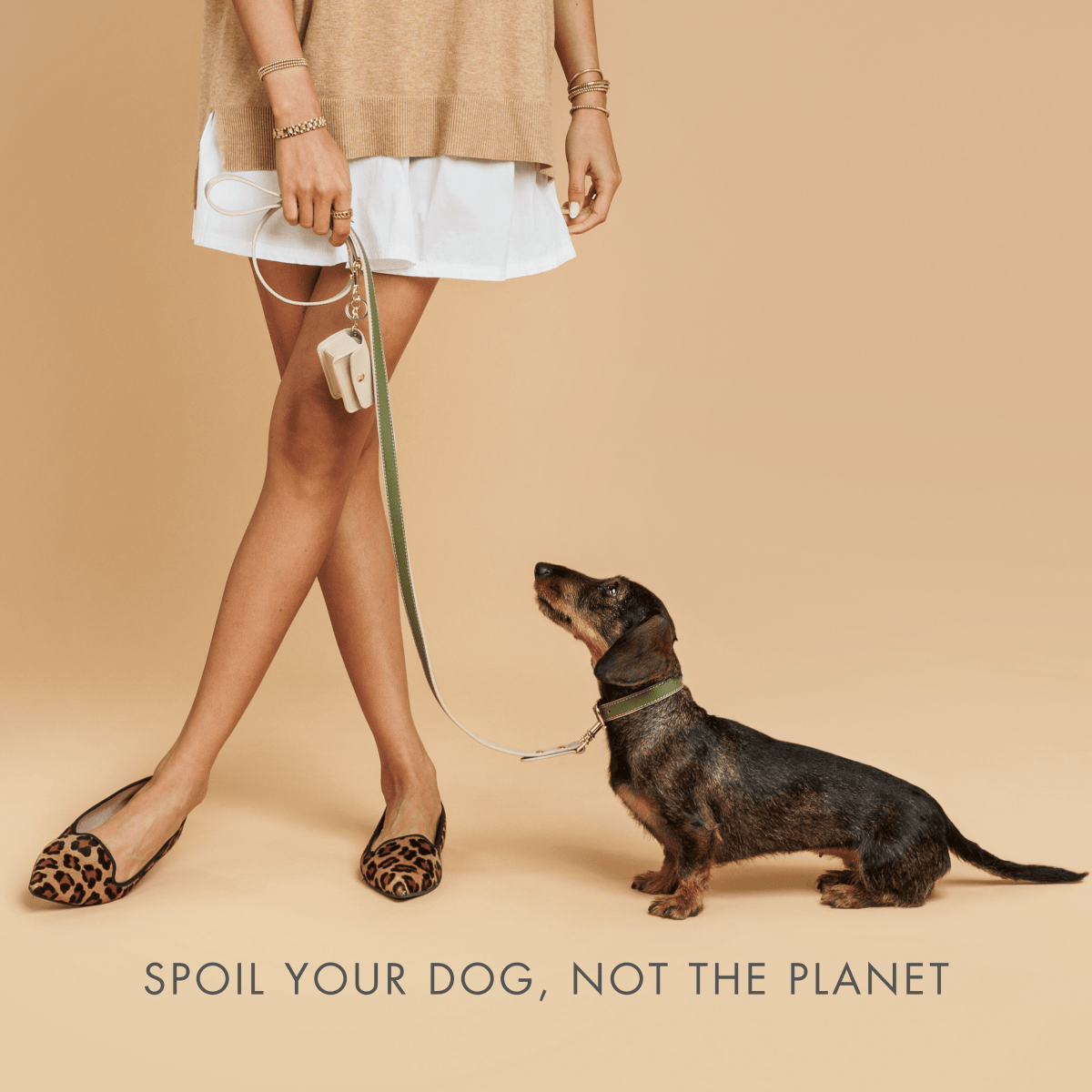 Stylish Dog Collars