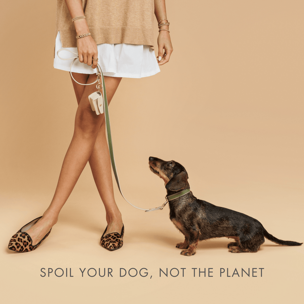 Leash 4ft - Vegan Leather