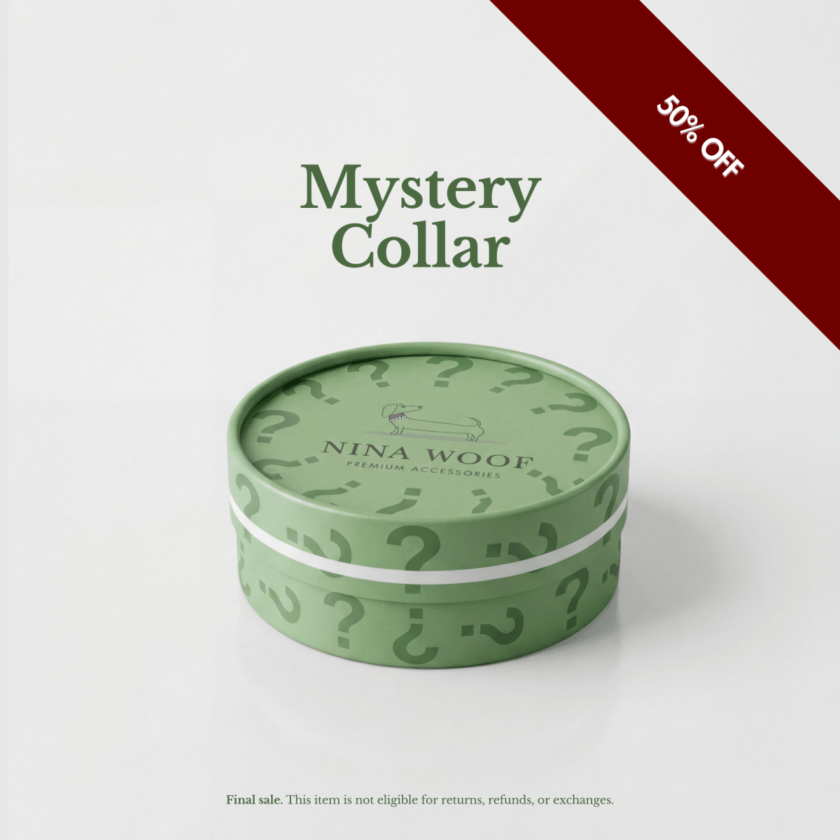 Stylish Dog Collars